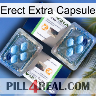 Erect Extra Capsule viagra5.jpg